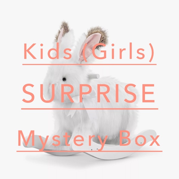 Pottery Barn Kids Other - NEW Kids (Girls) Surprise Mystery Box